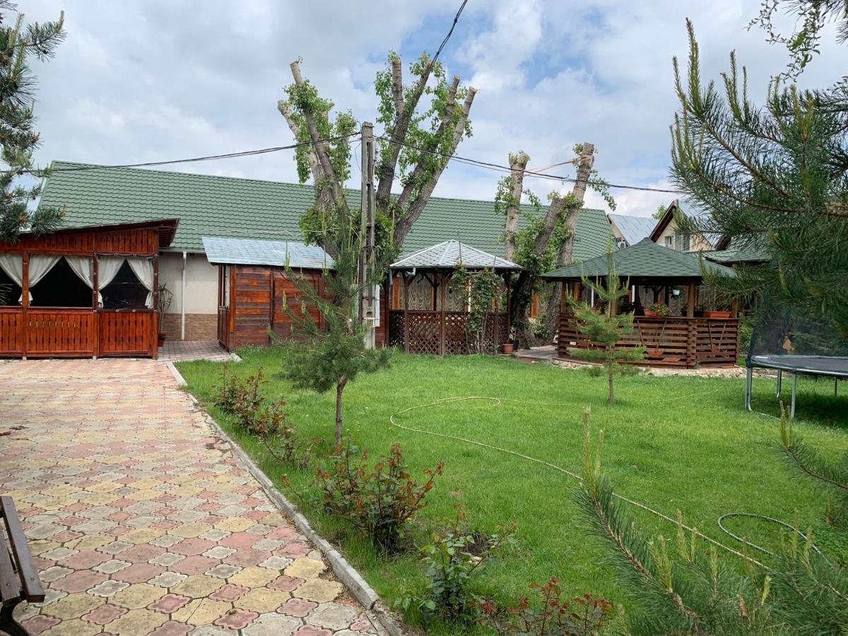 Pensiune Restaurant Rustic Rm Sarat Ramnicu Sarat Bagian luar foto